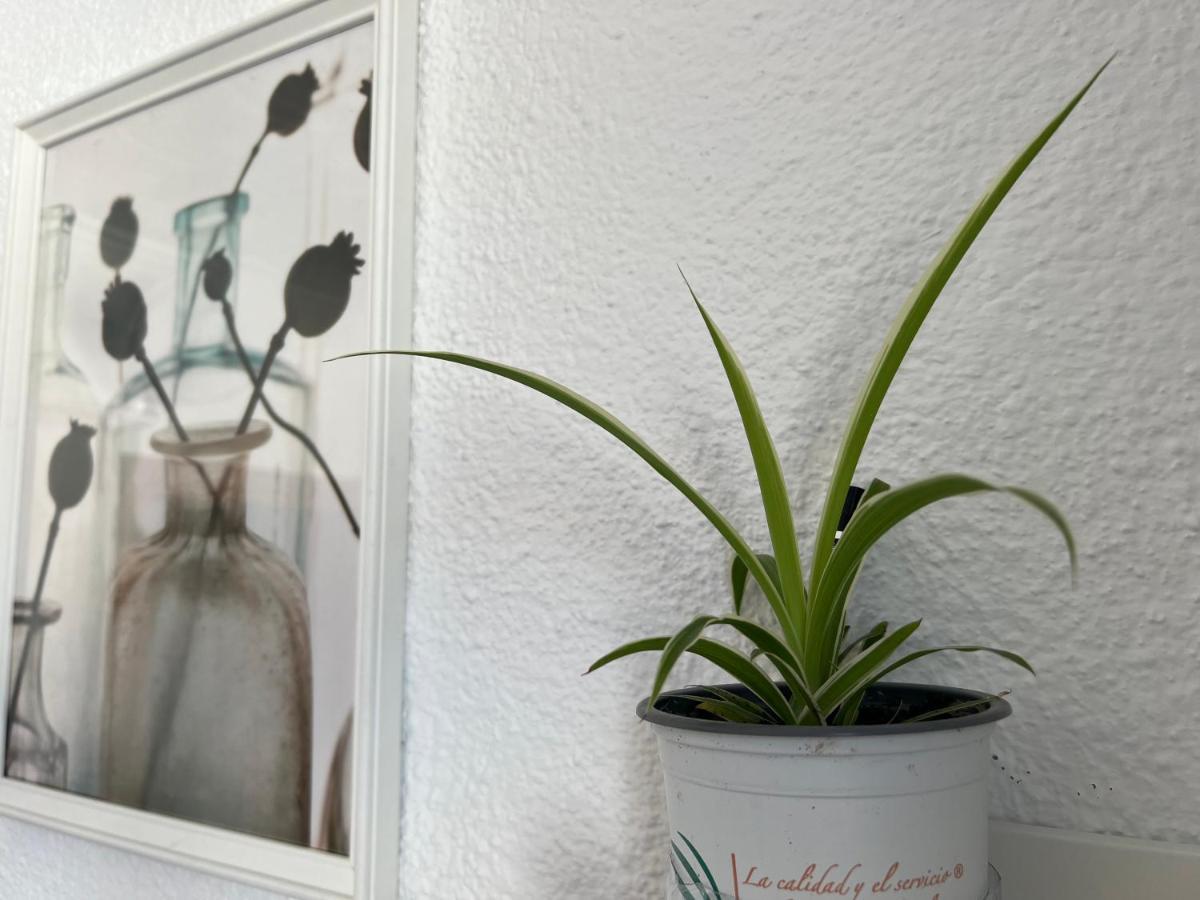Studio 34 Valencie Exteriér fotografie
